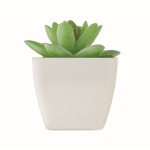 Pianta artificiale mini in PP tipo succulenta decorativa color bianco seconda vista