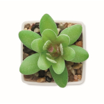 Pianta artificiale mini in PP tipo succulenta decorativa color bianco terza vista