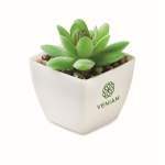 Pianta artificiale mini in PP tipo succulenta decorativa color bianco vista principale