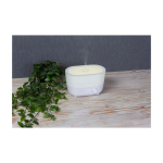  color bianco immagine stile di vita