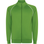 Felpa sportiva unisex con collo alto 210 g/m2 Roly Direct Valier color verde prima vista d'uso