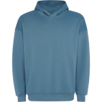 Felpa unisex oversize con cappuccio foderato 320 g/m2 Roly Direct Otto color blu grigiastro prima vista d'uso