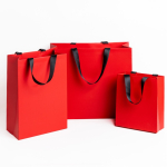 Borsa di carta premium con finitura opaca e manici in tessuto resistente 4kg vue d'ambiance