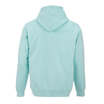 Felpa unisex in cotone biologico con cappuccio 300 g/m² color verde chiaro vista posteriore