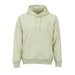 Felpa unisex in cotone biologico con cappuccio 300 g/m² color verde pastello vista frontale