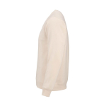 Felpa unisex in cotone biologico in pile spazzolato 300 g/m² Waikiki color beige terza vista