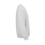 Felpa unisex in cotone biologico in pile spazzolato 300 g/m² Waikiki color grigio chiaro seconda vista