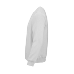 Felpa unisex in cotone biologico in pile spazzolato 300 g/m² Waikiki color grigio chiaro terza vista
