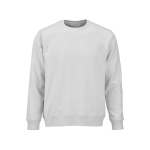 Felpa unisex in cotone biologico in pile spazzolato 300 g/m² Waikiki color grigio chiaro vista frontale