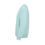 Felpa unisex in cotone biologico in pile spazzolato 300 g/m² Waikiki color verde chiaro terza vista