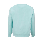 Felpa unisex in cotone biologico in pile spazzolato 300 g/m² Waikiki color verde chiaro vista posteriore