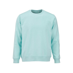 Felpa unisex in cotone biologico in pile spazzolato 300 g/m² Waikiki color verde chiaro vista frontale