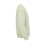 Felpa unisex in cotone biologico in pile spazzolato 300 g/m² Waikiki color verde pastello seconda vista