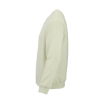 Felpa unisex in cotone biologico in pile spazzolato 300 g/m² Waikiki color verde pastello terza vista