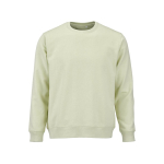 Felpa unisex in cotone biologico in pile spazzolato 300 g/m² Waikiki color verde pastello vista frontale