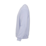 Felpa unisex in cotone biologico in pile spazzolato 300 g/m² Waikiki color azzurro pastello terza vista
