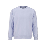 Felpa unisex in cotone biologico in pile spazzolato 300 g/m² Waikiki color azzurro pastello vista frontale