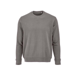 Felpa unisex in cotone biologico con french terry 300 g/m² Capri color grigio vista frontale