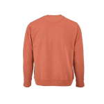 Felpa unisex in cotone biologico con french terry 300 g/m² Capri color arancione vista posteriore