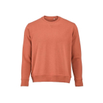 Felpa unisex in cotone biologico con french terry 300 g/m² Capri color arancione vista frontale