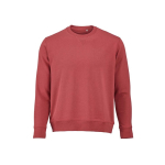 Felpa unisex in cotone biologico con french terry 300 g/m² Capri color menta potente vista frontale