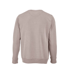 Felpa unisex in cotone biologico con french terry 300 g/m² Capri color grigio topo vista posteriore