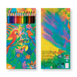 Set da colorare riciclato con certificazione FSC® e 12 matite BIC® color multicolore