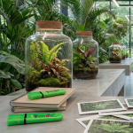 Evidenziatore fluorescente in plastica con inchiostro di origine naturale BIC®