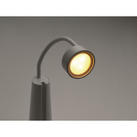 Lampada da scrivania e torcia 2 in 1 con luce regolabile in 3 modalità color bianco ottava vista fotografica
