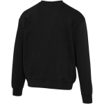 Felpa oversize a girocollo in cotone eco 280 g/m2 Elevate color nero terza vista posteriore