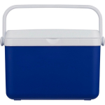 Frigorifero portatile in plastica resistente con isolamento e maniglia robusta 4 L color blu quinta vista