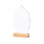 Trofeo in vetro a forma di ennagono con base in legno color trasparente prima vista