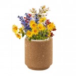 Vasetto in sughero con bicchiere, substrato e semi di fiori color marrone prima vista