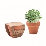 Vasetto di terracotta con semi di menta e terriccio color legno