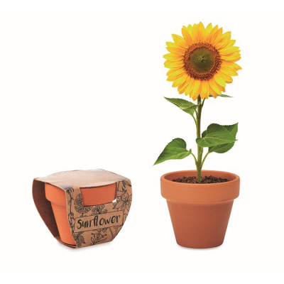 Vasetto personalizzato con fiori color marrone