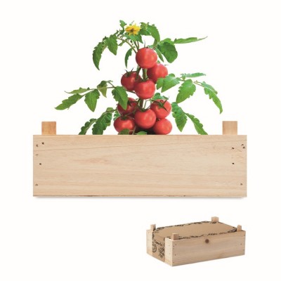 Semi di pomodoro da piantare in casa color legno
