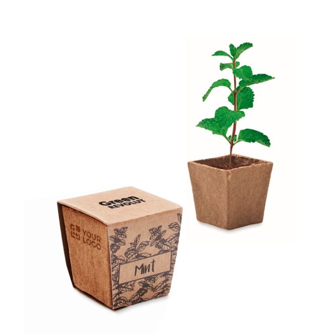 Vasetto biodegradabile con semi di menta e terriccio prodotto in UE