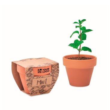 Vasetto di terracotta con seme di menta e terriccio Vasetto di terracotta con seme di menta e terriccio