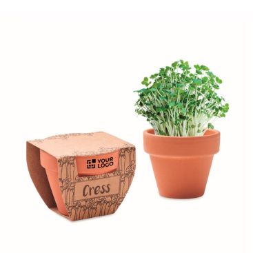 Vasetto di terracotta con semi di menta e terriccio