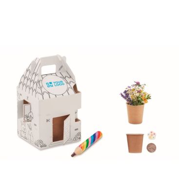 Vasetto con semi di fiori di miele e matitone multicolore per bambini
