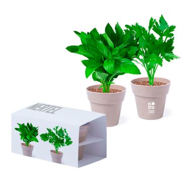 Vasetto biodegradabile con semi di menta e prezzemolo con substrato Vasetto biodegradabile con semi di menta e prezzemolo con substrato