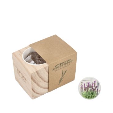 Kit di coltivazione della lavanda con vaso e substrato di cocco