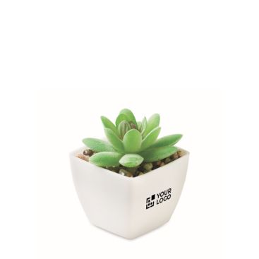 Pianta artificiale mini in PP tipo succulenta decorativa