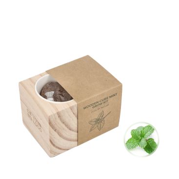 Kit di coltivazione della menta con vaso e substrato di cocco