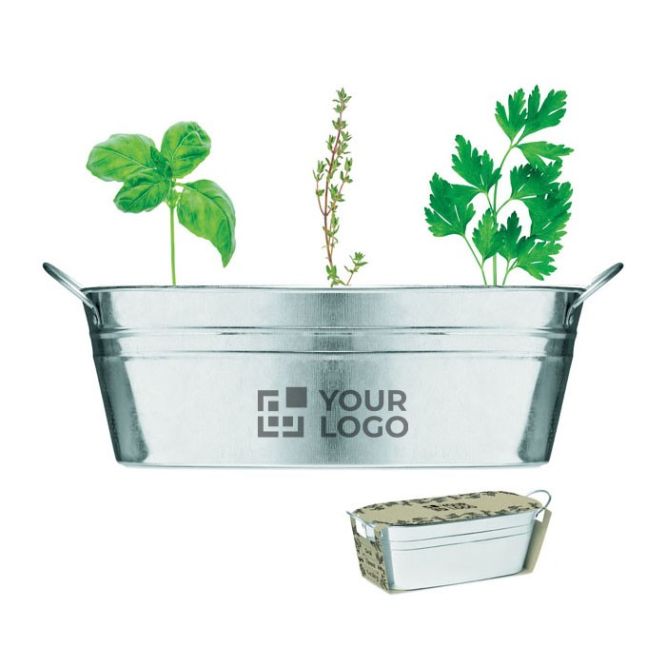 Semi di erbe aromatiche con vaso vista area di stampa