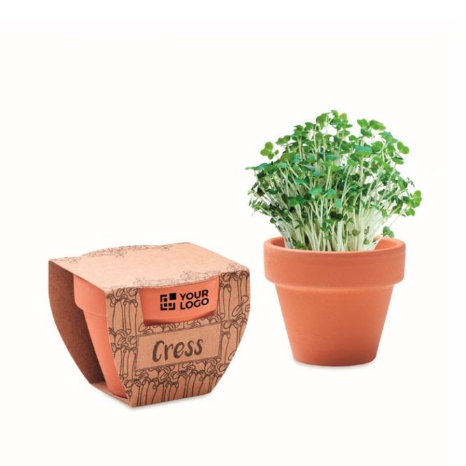 Vasetto di terracotta con semi di menta e terriccio
