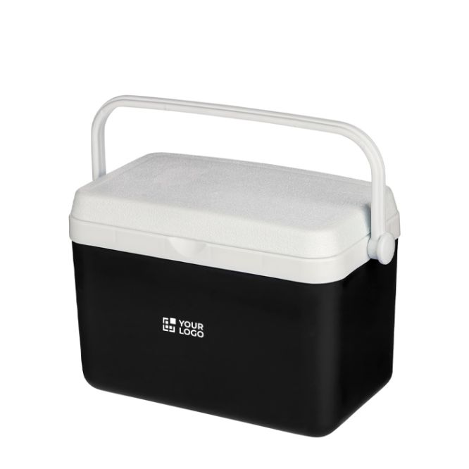 Frigorifero portatile in plastica resistente con isolamento e maniglia robusta 4 L