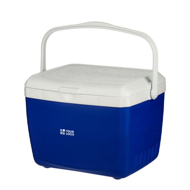 Frigorifero portatile in plastica resistente a doppia parete con maniglia 13L