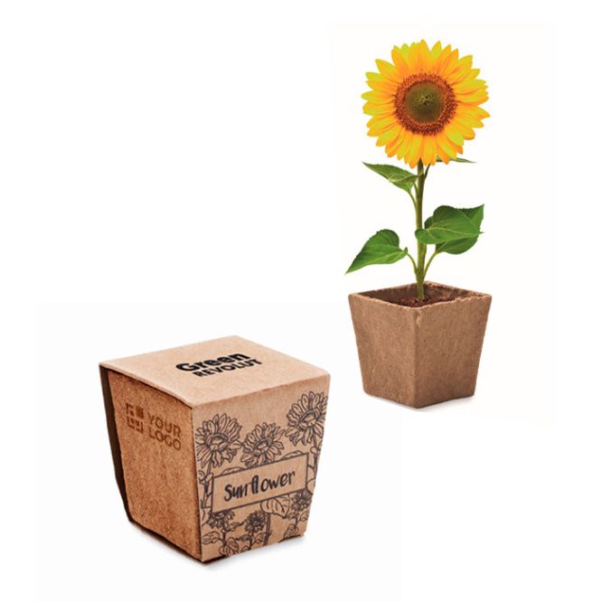 Vasetto biodegradabile con semi di girasole e terriccio prodotto in UE