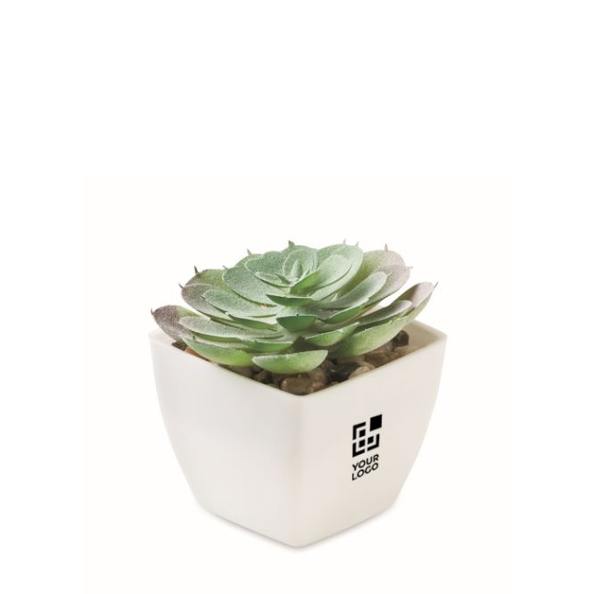 Pianta artificiale mini in PP a forma di succulenta echeveria